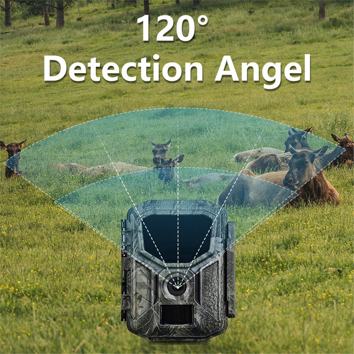 Hunting Outdoor Rug - Caméra de chasse 8K HD avec