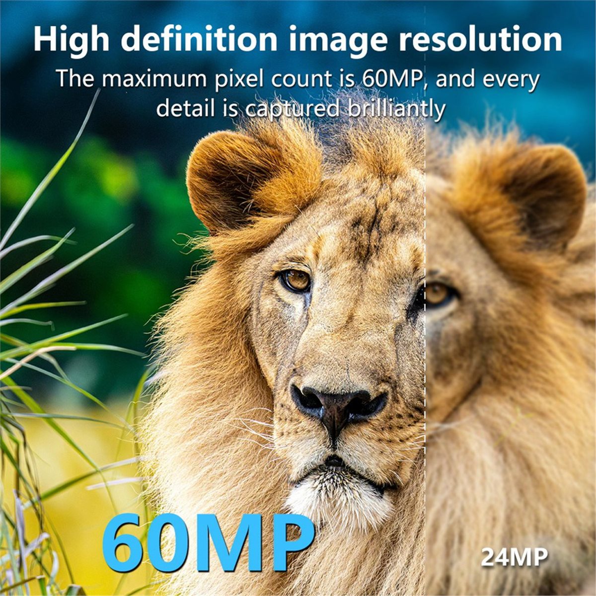 Caméra de chasse 8K HD avec vi - Hunting Outdoor Rug avis et prix