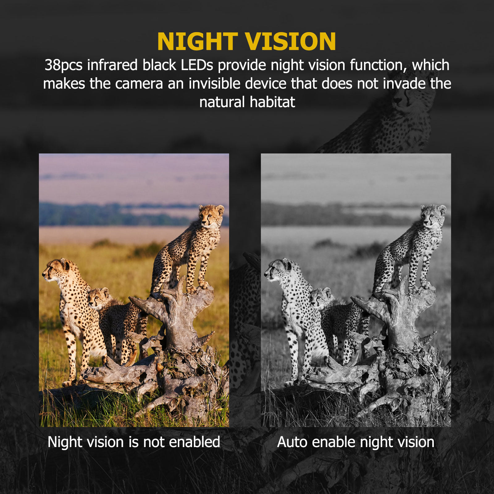 Caméra de chasse 12Mp avec vis - Outdoor Hunting Videos avis et prix